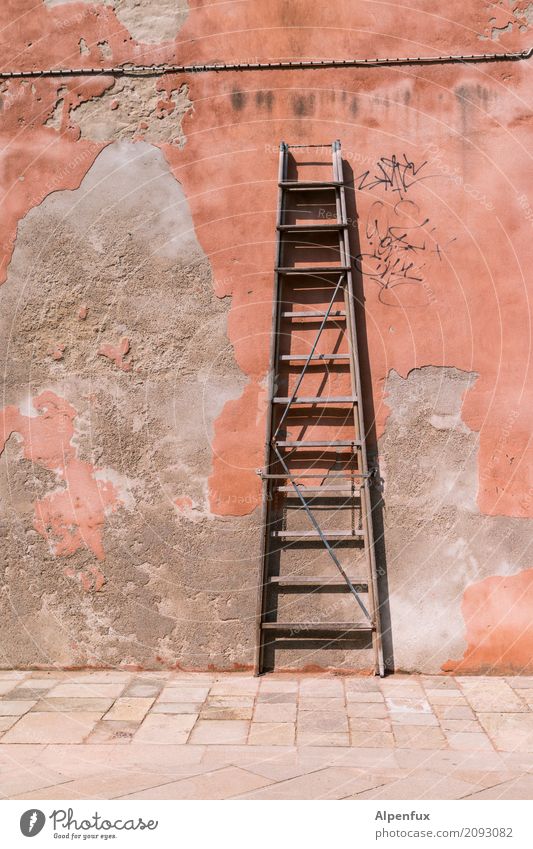 Venetian career ladder Ladder Graffiti Stand Old Town Beginning Success Eternity Belief Religion and faith Contentment Hope Problem solving Curiosity Stagnating