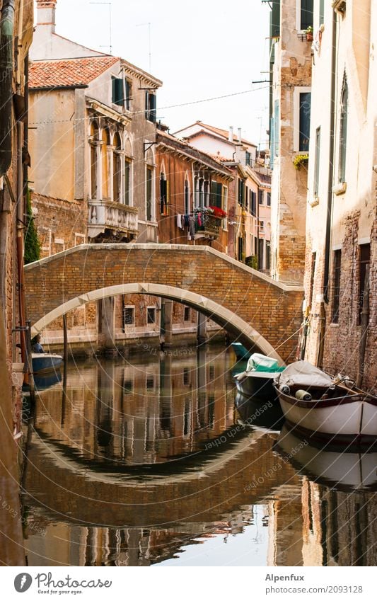 Bridge over untroubled water Venice Italy Town Port City Old town House (Residential Structure) Window Monument Hope Belief Beginning Esthetic Happy Stagnating