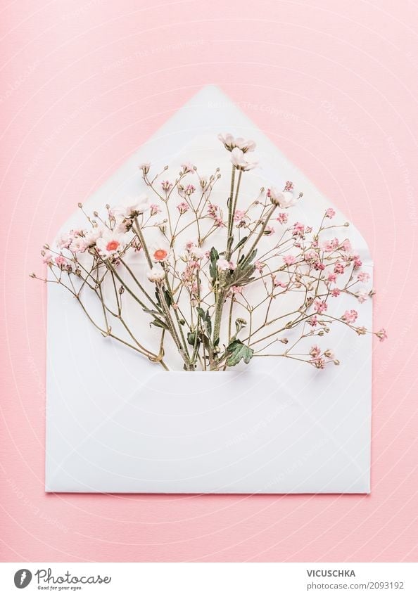 Open envelope with flowers Lifestyle Style Design Feasts & Celebrations Valentine's Day Mother's Day Wedding Birthday Feminine Nature Plant Flower Decoration