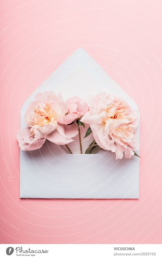 Opened envelope with peonies Lifestyle Style Design Leisure and hobbies Feasts & Celebrations Valentine's Day Mother's Day Wedding Birthday Plant Flower Leaf