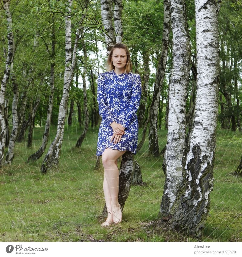 backing Beautiful Harmonious Well-being Trip Young woman Youth (Young adults) Legs 18 - 30 years Adults Landscape Summer Beautiful weather Tree Birch wood Dress
