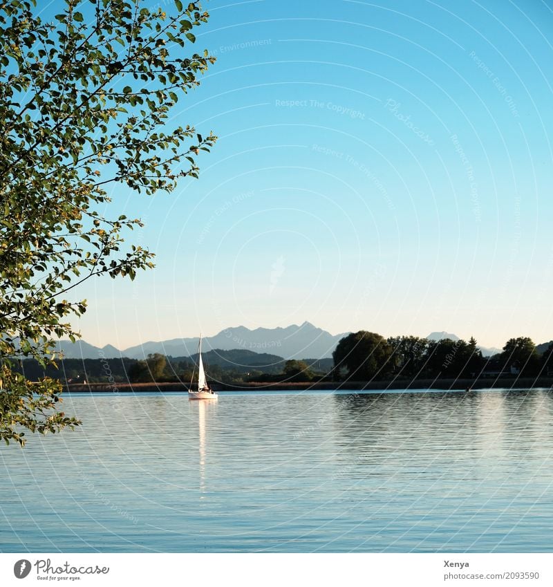 Chiemsee Sailing Summer Nature Beautiful weather Lake Blue Leisure and hobbies Vacation & Travel Sailboat Lake Chiemsee Exterior shot Deserted Copy Space top