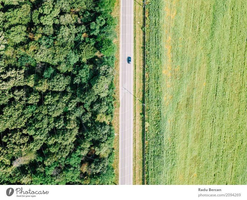Aerial Drone View Of Moving Cars On Country Road Vacation & Travel Adventure Far-off places Freedom Summer Agriculture Forestry Environment Nature Landscape