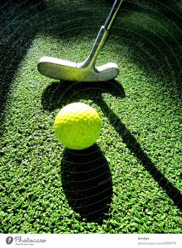 Golf 2 Leisure and hobbies Playing Mini golf Golf course Sports Yellow Green Black Esthetic Concentrate Golf ball Golf club Visual spectacle Shadow