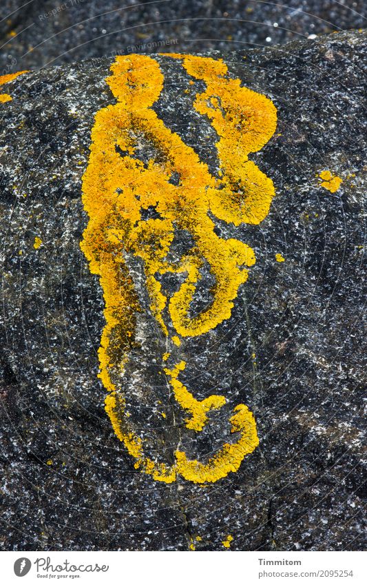 To life, love, and anything. Environment Nature Lichen Stone Emotions Fantasy Structures and shapes Mole Figure Yellow Gray Simple Natural Dreamland