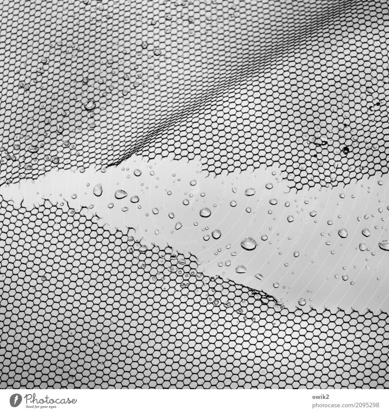 Constant drop Drops of water Rain Window Window pane Gauze Plastic Old Thin Wet Feeble Wrinkles Crack & Rip & Tear Broken Damage Derelict Ravages of time Gap