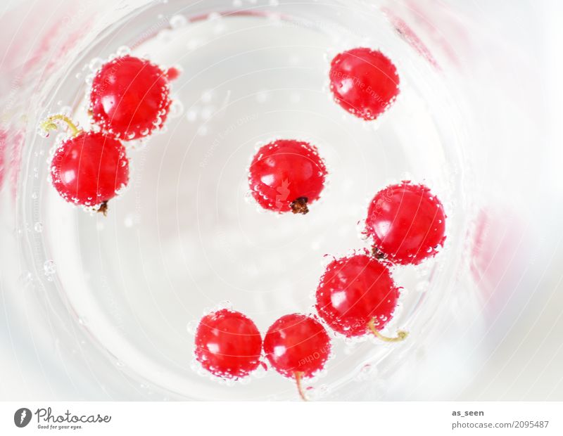 soft drink Food Fruit Redcurrant Nutrition Slow food Beverage Drinking Cold drink Drinking water Lemonade Juice Glass Lifestyle Luxury Healthy Eating Wellness