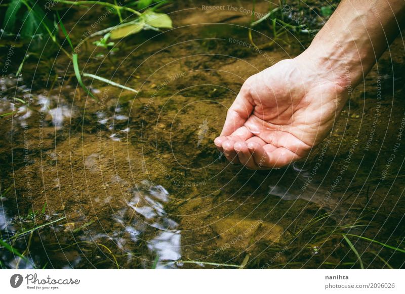 Hand touching fresh water in a lake Vacation & Travel Adventure Freedom Expedition Human being Masculine Man Adults 1 30 - 45 years Environment Nature Plant