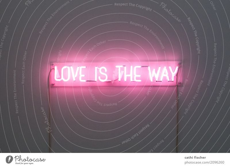 Love Is The Way Design Interior design Decoration Lamp Room Valentine's Day Wedding Art Wall (barrier) Wall (building) Characters Signs and labeling Esthetic