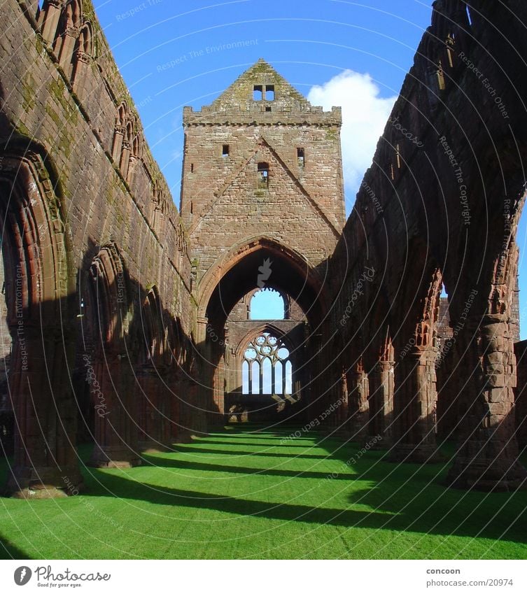 Sweetheart Abbey Scotland Great Britain Monastery Ruin Decline Light Spring Green Meadow Europe New Abbey Religion and faith Shadow Old Sun
