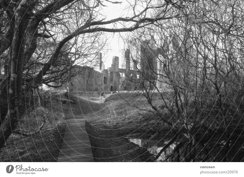 Agatha Christie's Moorlands. Bog Ruin Dark Harrowing Eerie Scotland rotten trees Castle