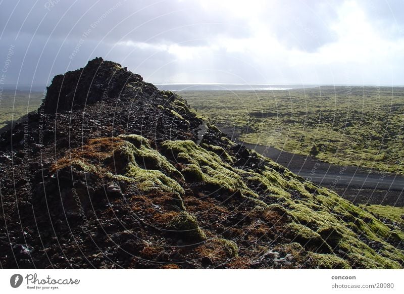 Moss & Lava Iceland Lava field Landscape Far-off places Sun Empty Beautiful