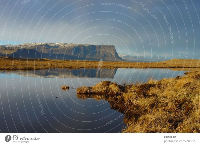 Beautiful Iceland Lake Grass Evening sun Calm Wall of rock Steep face Europe Reflection North