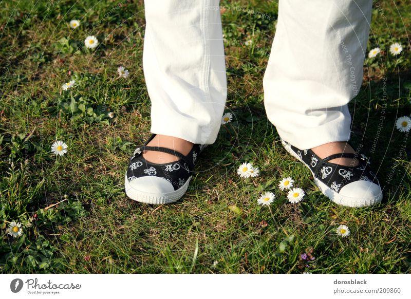 in the green Summer Human being Feminine Woman Adults 1 Nature Spring Footwear Stand Simple Beautiful Green White Daisy Lawn Colour photo Exterior shot Day