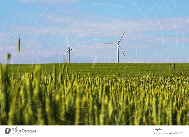 landscape with windmills for green electric power Industry Technology Environment Nature Landscape Sky Climate Wind Metal Sustainability Clean Blue Green Energy
