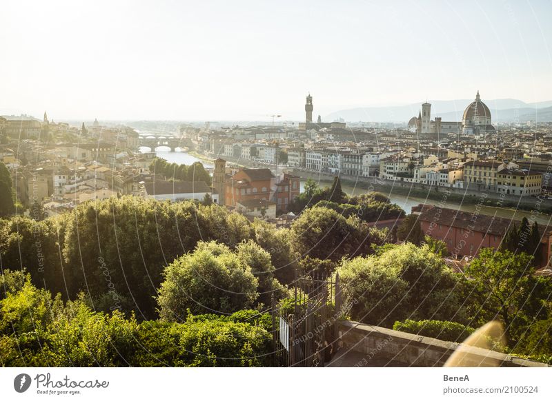 Panoramic view over Florence with Ponte Vecchio, Cathedral and Old Town Lifestyle Luxury Style Vacation & Travel Tourism Sightseeing City trip Summer