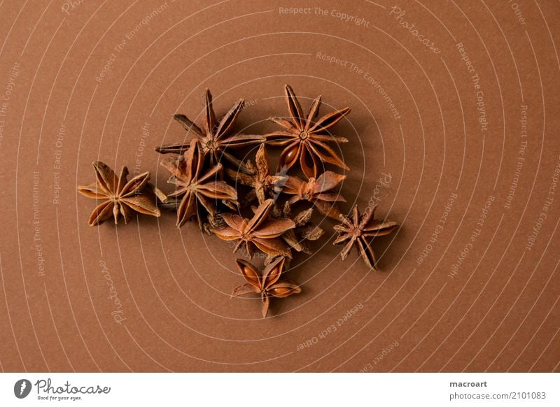 Star anise on brown background Star aniseed Star (Symbol) Brown stars Spicy Herbs and spices Dried Fruit Christmas & Advent Christmas spice Dish Eating