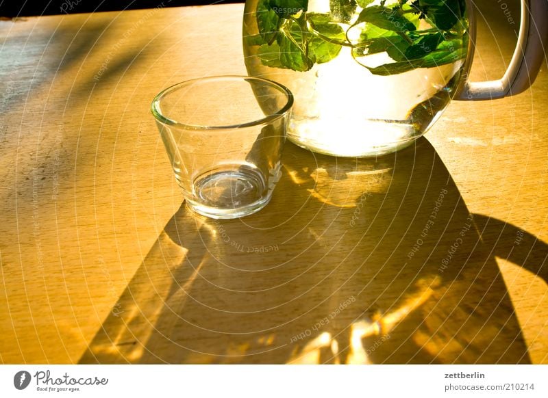 lemon balm Life Relaxation Calm Summer Table Nature Plant Drinking August Lemon Balm Glass Jug Refreshment Cold drink Water Colour photo Exterior shot Close-up