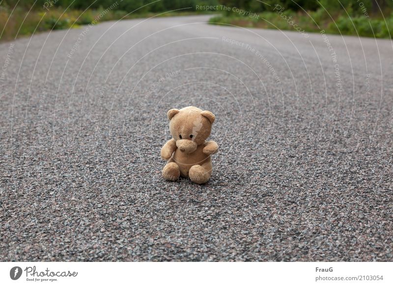 left alone Deserted Street Lanes & trails Sit Sadness Wait Disappointment Loneliness Teddy bear Curve Colour photo Exterior shot Day Shallow depth of field