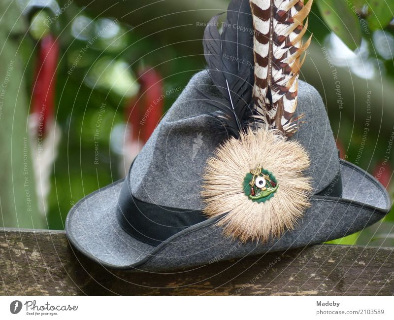 Felt hat with pheasant feather of a grey gun costume Style Leisure and hobbies Vacation & Travel Tourism Summer Mountain Hiking Feasts & Celebrations