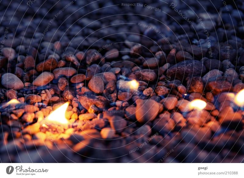 burning stones Elements Fire Illuminate Fantastic Hot Dream Whimsical Environmental pollution Destruction Stone Gravel Pebble fire accelerators Burn Flame