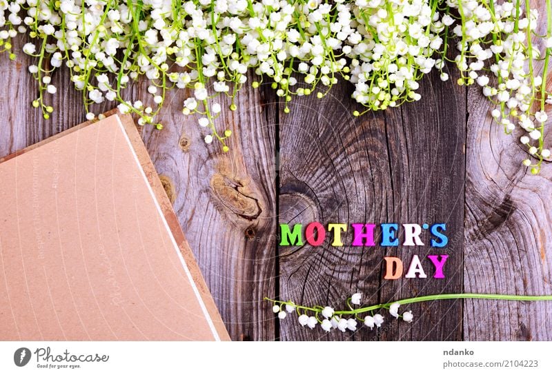 wooden background with white lily of the valley Beautiful Garden Decoration Mother's Day Nature Plant Flower Blossom Paper Bouquet Wood Old Blossoming Bright