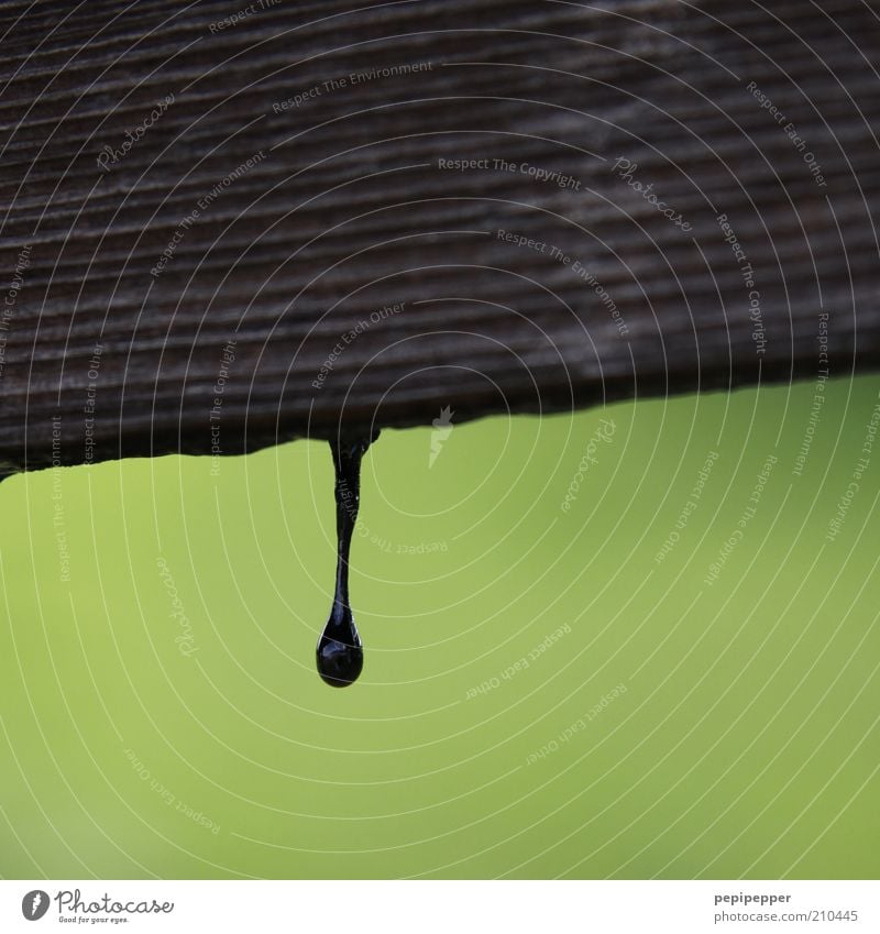 trickle Wood Painting (action, work) Brown Green Dye Colour photo Exterior shot Close-up Detail Day Garden fence Drop Dripping Varnish Varnished Fresh