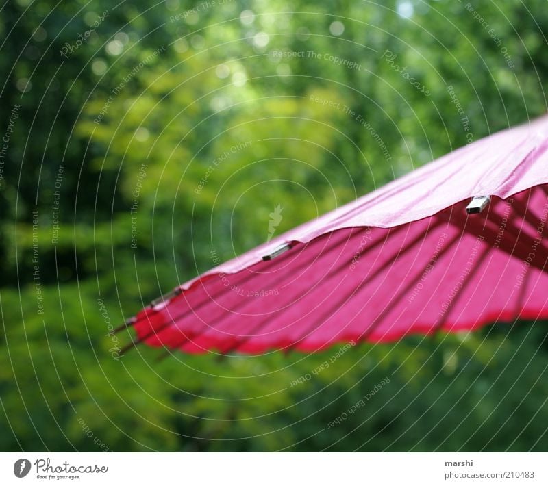 sunshining day Leisure and hobbies Garden Park Green Pink Sunshade Paper Tree Nature Summer Summery Summer's day Colour photo Exterior shot Protection