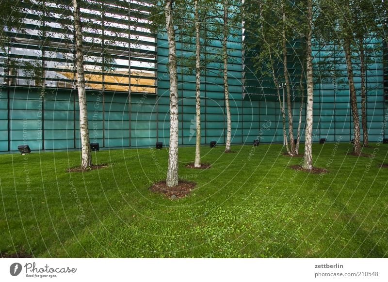 Nordic Embassies Grass Meadow House (Residential Structure) Manmade structures Architecture Facade Bright Birch tree Scandinavia nordic embassies Disk Lawn