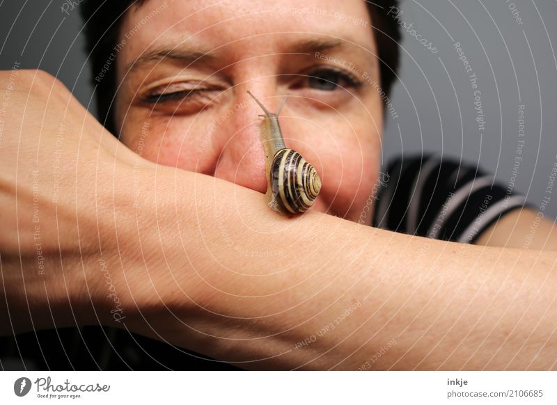 Snails|tempo 3 Lifestyle Woman Adults Face Arm 1 Human being Animal Wild animal Smiling Small Funny Near Love of animals Attentive Serene Patient Self Control