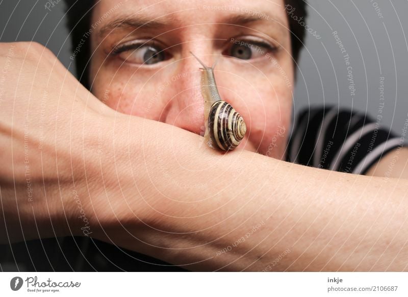 Snails|tempo 4 Lifestyle Joy Woman Adults Face Nose 1 Human being Animal Wild animal Observe Looking Small Funny Near Wet Emotions Love of animals Attentive