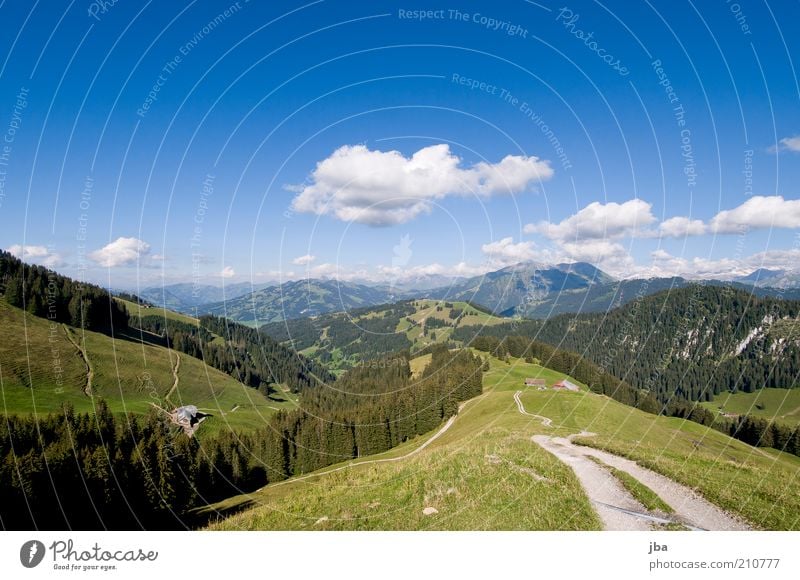 mountain path Leisure and hobbies Vacation & Travel Trip Freedom Summer Mountain Environment Nature Landscape Sky Horizon Sunlight Beautiful weather Alps