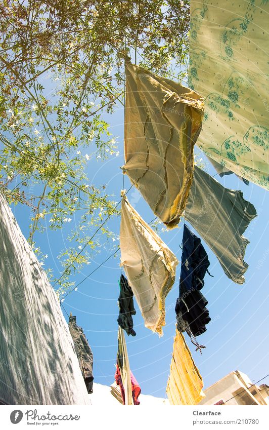 washing day Contentment Attachment Sky Energy saver Colour photo Exterior shot Day Worm's-eye view Laundry Clothesline Dry Hang up Warmth Sunlight Summer