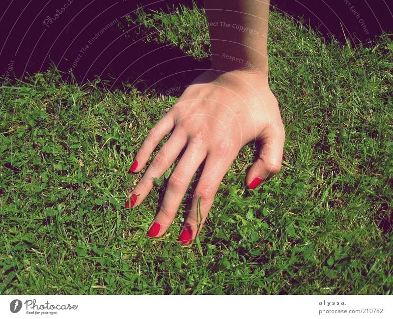 Hand in hand. Feminine 18 - 30 years Youth (Young adults) Adults Grass Green Red Colour photo Shadow Women`s hand Support Nail polish Varnished Fingernail