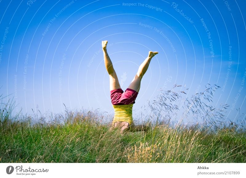 Summer fun I Joy Healthy Harmonious Well-being Adventure Young woman Youth (Young adults) Life 1 Human being Nature Cloudless sky Grass Free Happiness Fresh