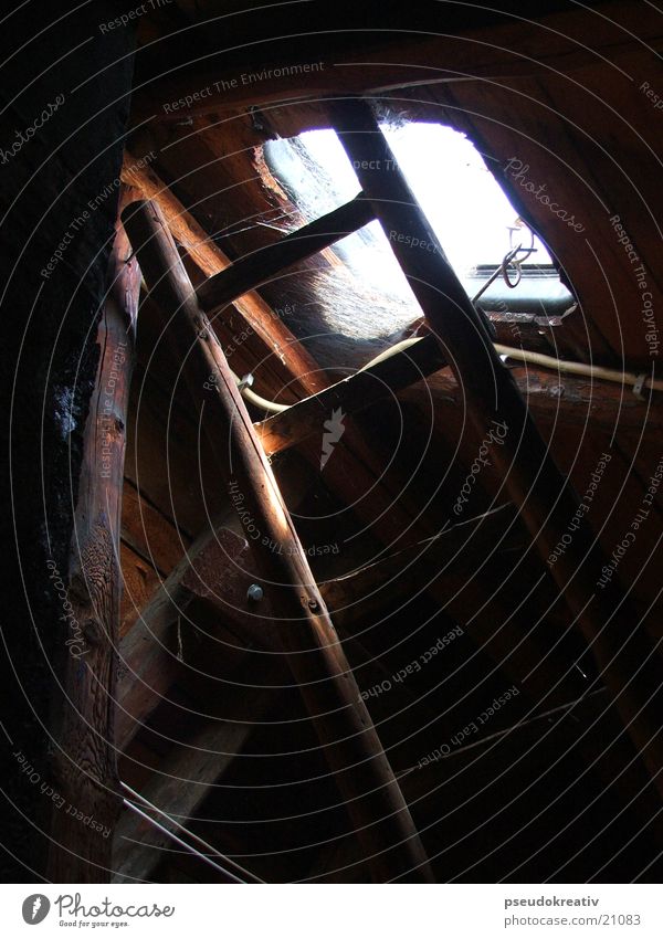 George Roof Attic Spider's web Window Wood Ladder Old Joist