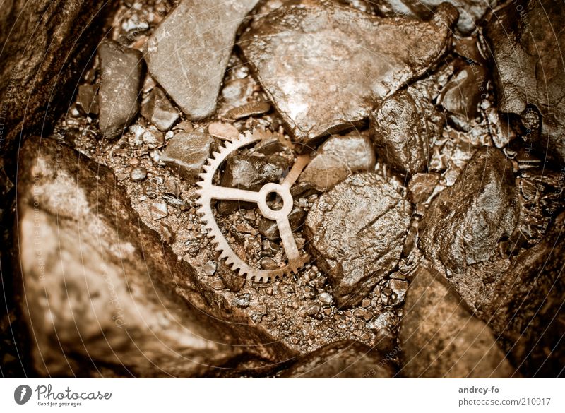 gear Gearwheel Clock Stone Rust Water Old Round Brown Watch mechanism Stone Age Past Mechanics Serrated Brook Retro Historic Metal Broken Scrap metal Wheel
