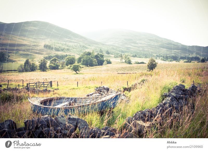 aground Agriculture Forestry Environment Nature Landscape Grass Meadow Scotland Wall (barrier) Wall (building) Rowboat Moody Authentic Flexible Life