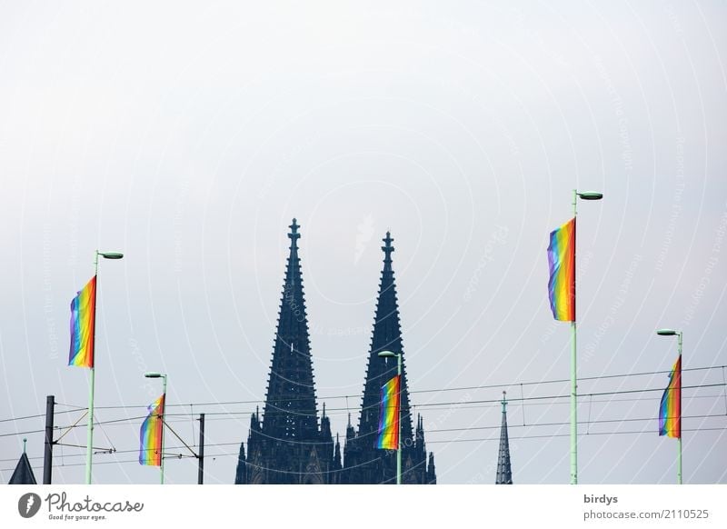 Many regebogen flags in front of the backdrop of the Cologne Cathedral at the CSD in Cologne Rainbow flag rainbow flag queer Rainbow Flags