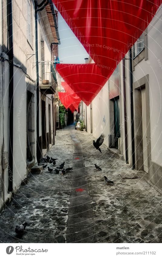 travessa Small Town Pigeon Flock Stone Red Black White Moody Alley Lanes & trails House (Residential Structure) Central perspective Deserted Decoration Triangle