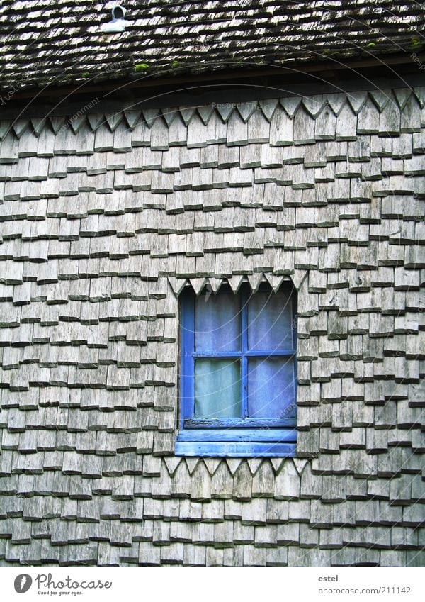 Secret Window - The Secret Window Culture Mont St.Michel France Europe Old town Manmade structures Facade Roof Wood Glass Sharp-edged Historic Blue Gray