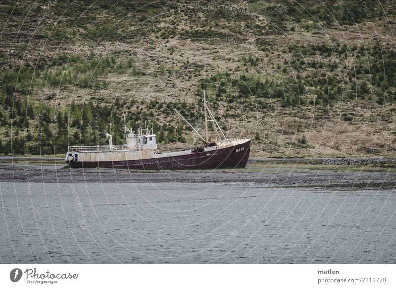 last wages Nature Landscape Grass Coast Beach Fjord Ocean Navigation Fishing boat Old Blue Gray Green Red Wreck Stranded Iceland Colour photo Subdued colour