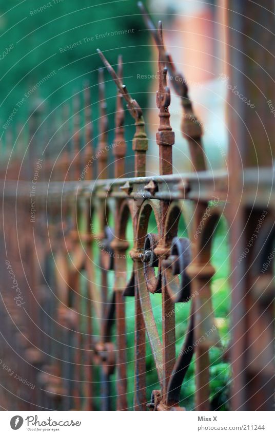 lattice Garden Old Point Decline Transience Fence Grating Wrought iron Rust Colour photo Exterior shot Close-up Deserted Shallow depth of field Wrought ironwork