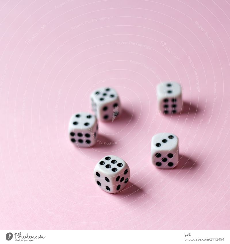 dice Leisure and hobbies Playing Game of chance Dice Digits and numbers Success Joy Happy Competition Fiasco 2 3 5 6 4 Colour photo Interior shot Studio shot