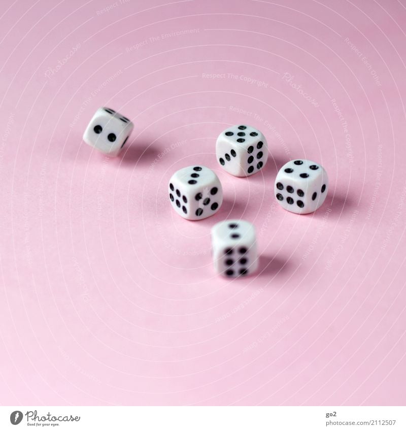 Big road? Leisure and hobbies Playing Game of chance Parlor games Dice Sign Digits and numbers Pink Black White Compulsive gambling Success Joy Happy