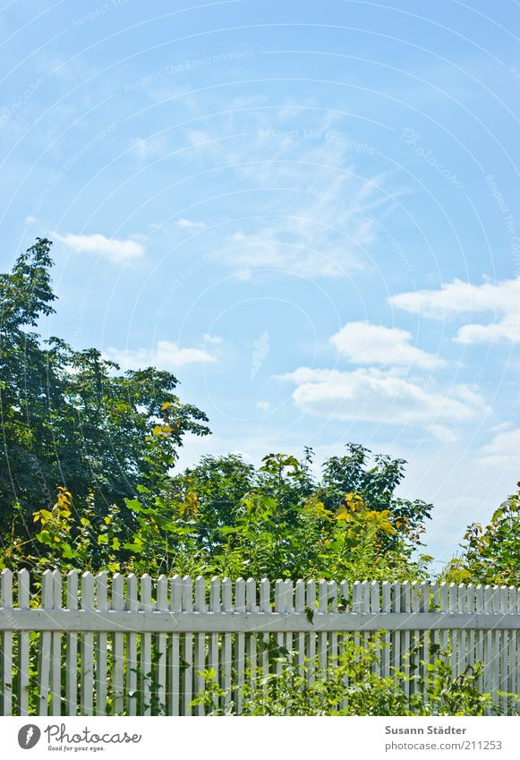 garden fence Clouds Beautiful weather Tree Garden Bright Fence Boundary Bushes Blue Baby blue Colour photo Exterior shot Deserted Copy Space top Light