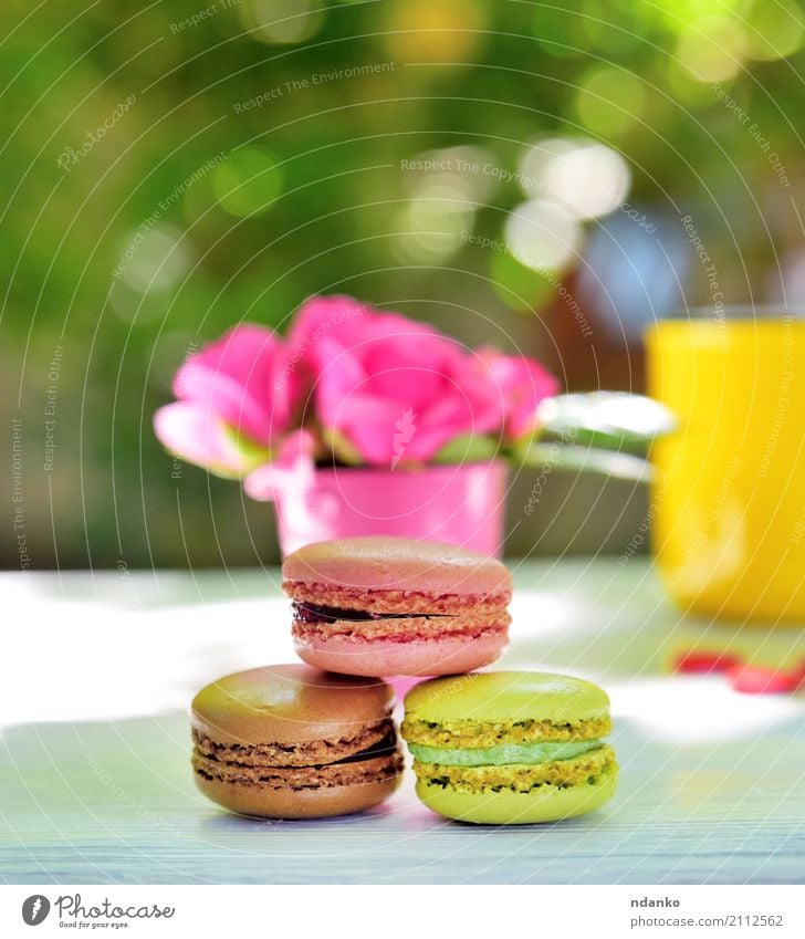 multicolored macaroons Dessert Candy Cup Table Flower Wood Eating Bright Brown Yellow Green Pink White Macaron biscuit rose food Tasty sunny vintage french
