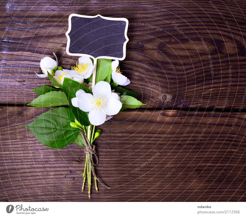 bouquet of blossoming jasmine Beautiful Summer Garden Nature Plant Leaf Blossom Bouquet Wood Blossoming Fresh Bright Natural Above Yellow Green White Colour