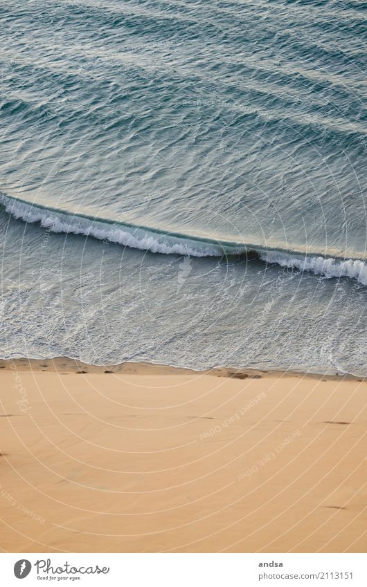 Bird's eye view of coastline Beach Waves Ocean from on high Bird's-eye view UAV view droning Landscape Water Nature Vacation & Travel Sand Tourism seascape Blue