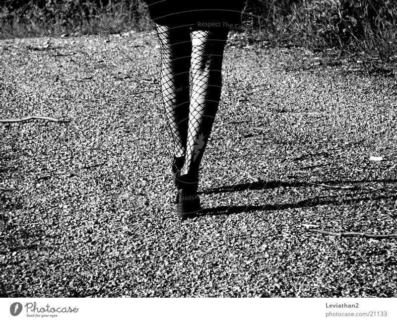 On her way home ... Woman Tights Fishnet tights Hollow Footwear Gravel Gravel path Legs Shadow Walking Lanes & trails Landing